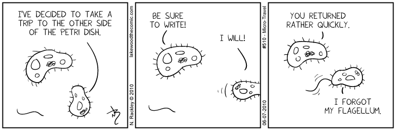 Micro-Travel