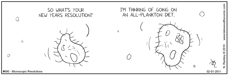 Microscopic Resolutions